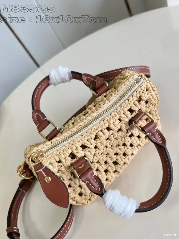 NANO SPEEDY-16-10-7.5cm LOUIS VUITTON 0523